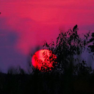 流星群侠传华为版下载