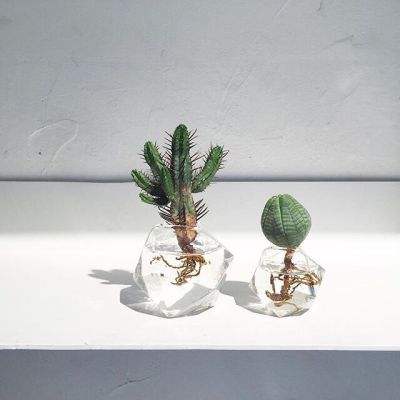 缘定三生手游下载